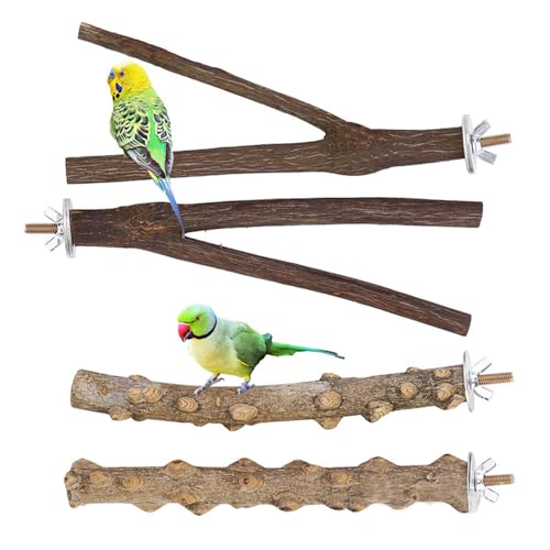 Parrot Bird Standing Pole, Pet Bird Cage Wooden Hanging Perch Plattform, Vogel Hängematte Swing Spielzeug, geeignet für Aras und andere Haustiere Vögel (Kombi 7, 2 * 20cm) von JACKANNA