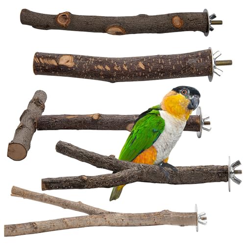 Parrot Bird Standing Pole, Pet Bird Cage Wooden Hanging Perch Plattform, Vogel Hängematte Swing Spielzeug, geeignet für Aras und andere Haustiere Vögel (Kombi 9, 2 * 20cm) von JACKANNA