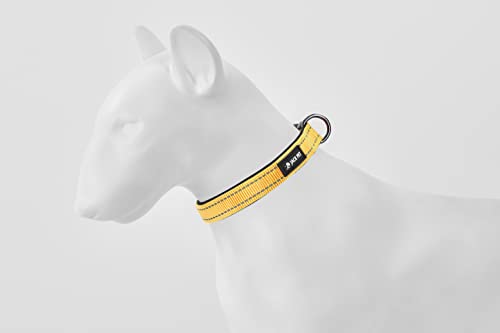 Normales Hundehalsband (groß, gelb) von JACKPET