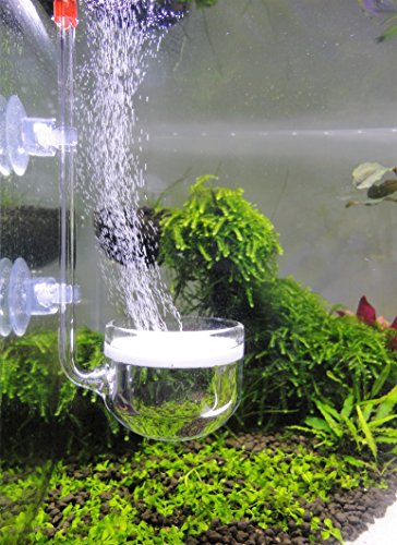 JARDLI Musik Glas CO2 Diffusor für Aquarium Pflanze (Φ40mm) von JARDLI