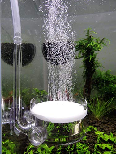JARDLI Pollen Glas CO2 Diffusor mit U Pipe für Aquarium Gepflanzt Tank (Φ40mm) von JARDLI