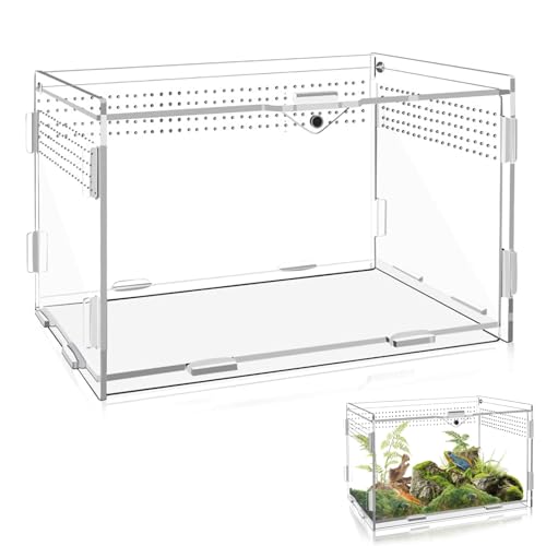 Schnecken Mini Terrarium, Reptilien Terrarium Box, Transparent Insekten Terrarium, Mini Transparent Acryl Terrarium, Unterkünfte für Spinnen, Eidechsen, Frösche, Käfer und Andere Insekten von JAWAI