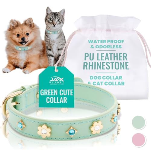 Hundehalsband aus PU-Leder mit Strasssteinen, Blumen-Design, Haustier-Mode-Zubehör für Welpen, Katzen, kleine Hunde, drinnen und draußen, Grün, Größe XS von JAX PLANET