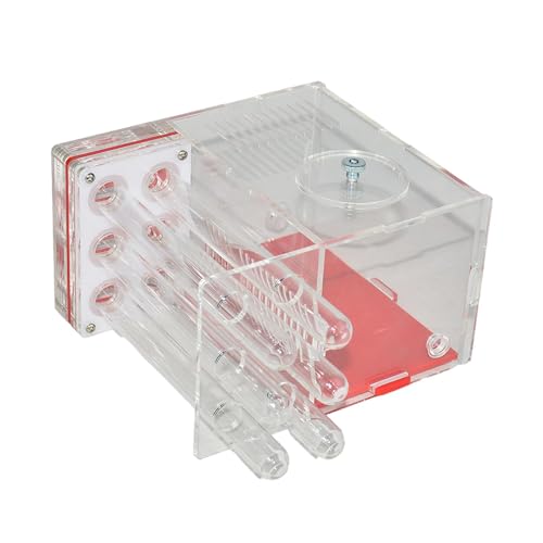 JAYIOLA Ameisenfarm Ameisenhaus Ameisenhabitat Als Acryl Terrarium mit Ausbruchsicherer Versiegelung Zur Erforschung des Lebenszyklus, 1.5 cm JAYIOLA Ameisenfarm Ameisenhaus Ameisenhabitat Als Acryl Terrarium mit Ausbruchsicherer Versiegelung Zur Erforschung des Lebenszyklus, 1.5 cm von JAYIOLA