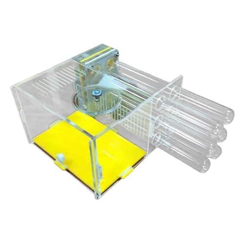 JAYIOLA Ameisenfarm Ameisenhaus Ameisenhabitat Als Acryl Terrarium mit Ausbruchsicherer Versiegelung Zur Erforschung des Lebenszyklus, 1.8 cm JAYIOLA Ameisenfarm Ameisenhaus Ameisenhabitat Als Acryl Terrarium mit Ausbruchsicherer Versiegelung Zur Erforschung des Lebenszyklus, 1.8 cm von JAYIOLA