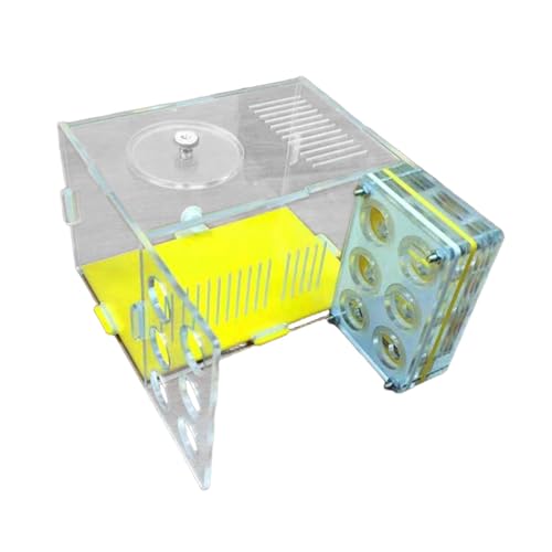 JAYIOLA Ameisenfarm Formicarium Ameisenvilla Als Lehrreiches Bauset Zum Zusammenbauen mit Belüftetem Gehäuse Zum Erforschen des Lebenszyklus Als G, 1.8 cm JAYIOLA Ameisenfarm Formicarium Ameisenvilla Als Lehrreiches Bauset Zum Zusammenbauen mit Belüftetem Gehäuse Zum Erforschen des Lebenszyklus Als G, 1.8 cm von JAYIOLA