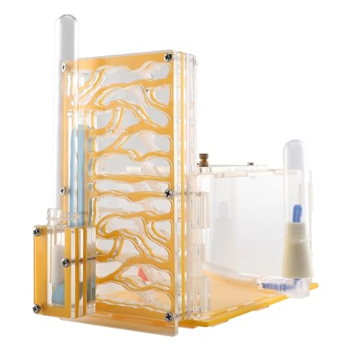 JAYIOLA Ameisenfarm mit Futterstation, transparentes Habitat für wissenschaftliche Beobachtungen, Gelb JAYIOLA Ameisenfarm mit Futterstation, transparentes Habitat für wissenschaftliche Beobachtungen, Gelb von JAYIOLA