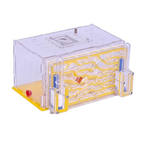 JAYIOLA DIY-Ameisenfarm, Ausstellungsbox für wissenschaftliche Experimente, Geschenk zum Kindertag, Gelb JAYIOLA DIY-Ameisenfarm, Ausstellungsbox für wissenschaftliche Experimente, Geschenk zum Kindertag, Gelb von JAYIOLA