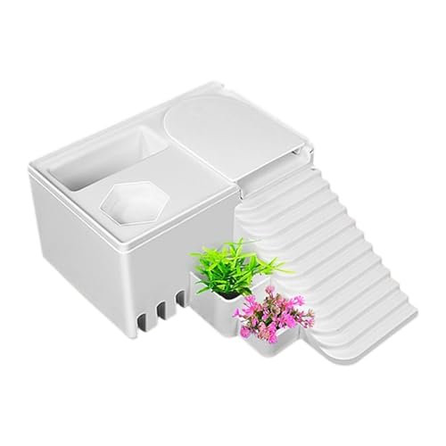 JAYIOLA Plattform für Schildkrötenbecken, Kletterrampe für Molche, Ruhezonen Im Terrarium, 21cmx16cmx8cm JAYIOLA Plattform für Schildkrötenbecken, Kletterrampe für Molche, Ruhezonen Im Terrarium, 21cmx16cmx8cm von JAYIOLA