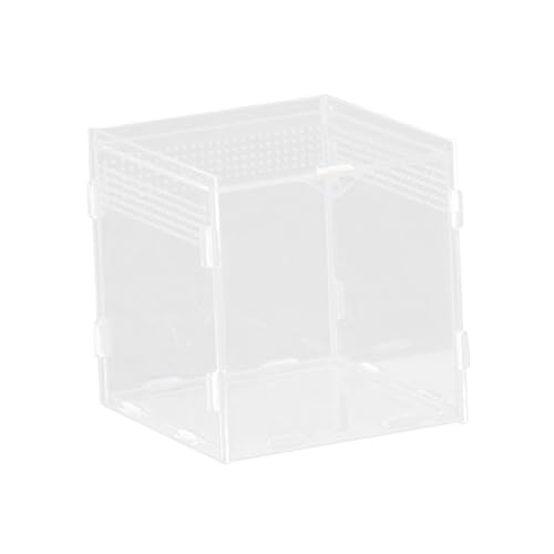 JAYIOLA Reptilienzuchtbox Käfig Transportbehälter Aufzuchtbehälter Schlangenbox mit Sicheren Belüftungslöchern Als Transportmittel für Diverse Kleintiere, 10x10x10cm JAYIOLA Reptilienzuchtbox Käfig Transportbehälter Aufzuchtbehälter Schlangenbox mit Sicheren Belüftungslöchern Als Transportmittel für Diverse Kleintiere, 10x10x10cm von JAYIOLA