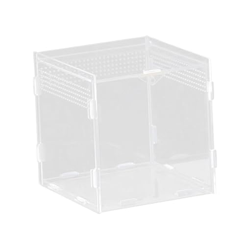 JAYIOLA Reptilienzuchtbox Käfig Transportbehälter Aufzuchtbehälter Schlangenbox mit Sicheren Belüftungslöchern Als Transportmittel für Diverse Kleintiere, 15x15x15cm JAYIOLA Reptilienzuchtbox Käfig Transportbehälter Aufzuchtbehälter Schlangenbox mit Sicheren Belüftungslöchern Als Transportmittel für Diverse Kleintiere, 15x15x15cm von JAYIOLA