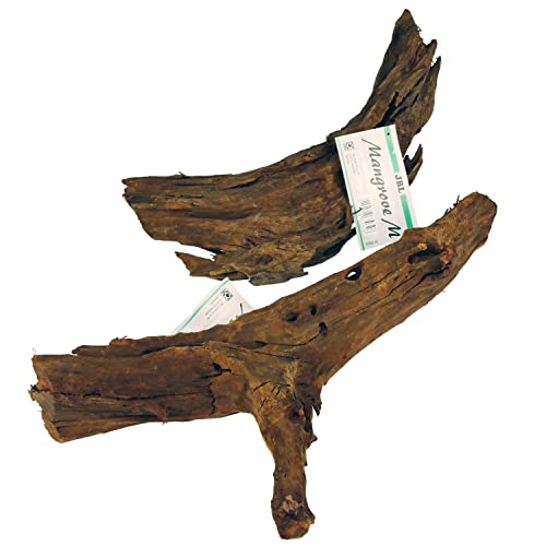 JBL 67032 Mangrovenholz-Wurzel für Aquarien und Terrarien, Mangrove (Naturpodukte), M von JBL