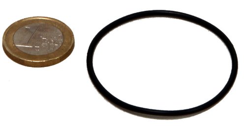 JBL M138701 Cp F 120/250 O-Ring for Impeller Cover, 1000 g von JBL