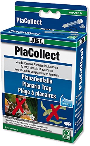 JBL - PlaCollect Planarienfalle gegen Plattwürmer im Süß,-und im Meerwasser von JBL -