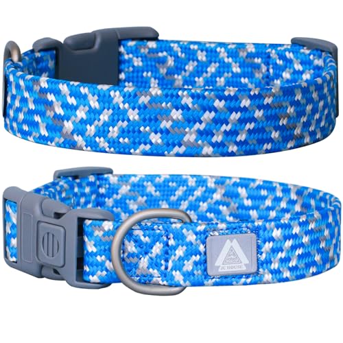 JC HOUSE Hundehalsband, reflektierendes Nylonhalsband mit Sicherheitsverschluss, verstellbarer Hals, 22,9 - 35,6 cm, weich und langlebig, für kleine Hunde, Blau von JC HOUSE