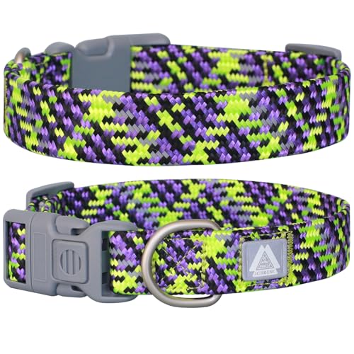 JC HOUSE Breites Hundehalsband für kleine Hunde, Halsumfang 22,9 - 35,6 cm, verstellbar, reflektierend, weiches Nylon, mit Sicherheitsverschluss, Lila, Größe S von JC HOUSE