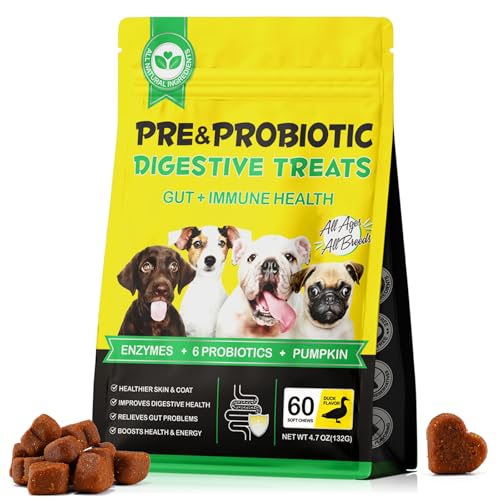 Probiotische Kausnacks für die Verdauung, 60 Stück Probiotische Kausnacks für die Verdauung, 60 Stück von JCZQDRPC