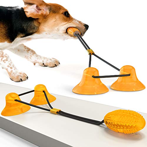 Upgrade Hunde-Saugnapfspielzeug mit 2 Saugnäpfen, besonders langlebig – selbstspielendes Hundespielzeug mit Saugnapf – Gummiballspielzeug mit Seil – Haustier-Molarenbeißspielzeug hilft bei der Zahnrei von JDGEU