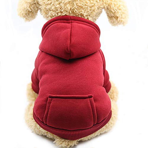 Fashion Focus On Winter-Hunde-Kapuzenpullover mit Taschen, Baumwolle, warme Hundekleidung für kleine Hunde, Chihuahua, Mantel, Kleidung, Welpen, Katzen, Custume (Weinrot, XXS) von JECIKELON