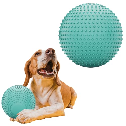 JEROCK Hundebälle, EVA-Hundespielzeugball für aggressive Kauer, 12,7 cm, langlebig, hochelastisch, interaktiver Ball zum Trainieren von Hunden, Fangen und Apportieren, schwimmfähiges Spielzeug für von JEROCK