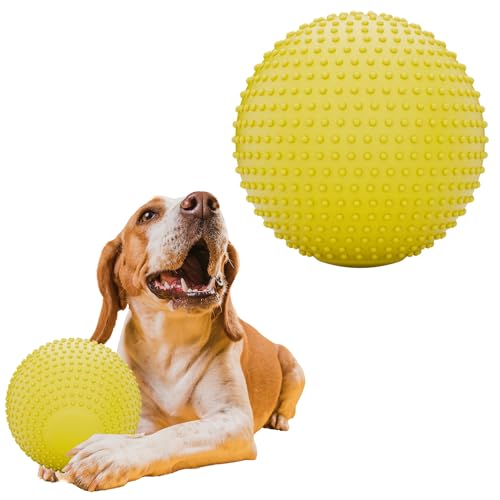 JEROCK Hundebälle, EVA-Hundespielzeugball für aggressive Kauer, 12,7 cm, langlebig, hohe Elastizität, interaktiver Ball zum Trainieren von Hunden, Fangen und Apportieren, schwimmfähiges Spielzeug für von JEROCK