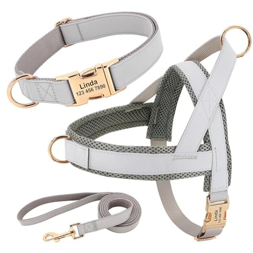 Individuelle Gravur, Kein Ziehen, Haustiergeschirr, Weste, Personalisiertes Hundehalsband, Geschirr, Leine-Set, Haustier-Gehtraining, Geschirr, Leine-Set Für Kleine, Mittelgroße Und Große Hunde,G von JFERDX