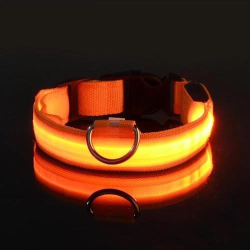 LED-Hundehalsband, für den Außenbereich, Nachtsicherheit, blinkend, Nylon, leuchtend, fluoreszierend, Hundehalsband, Zubehör, G, XS von JFERDX