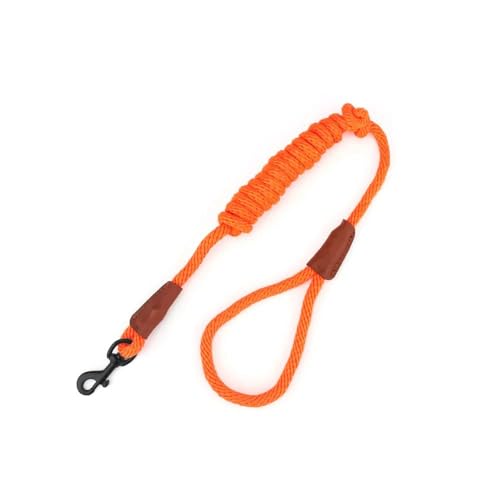 Outdoor-Hundetraining, Gehleine, Langlebige Nylon-Hundeleine, Kleine Hundeleine, Rundes Haustierseil, Heimtierbedarf, Geeignet Für Kleine Und Mittelgroße Hunde Und Katzen,H,9mm X 1,8m von JFERDX