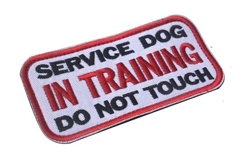 Personalisierung Pet Service Dog In Training Sicherheits-Patch, Therapie, Hund, Haustier, nicht emotionale Unterstützung, Patches für Hundegeschirr, Größe M von JFERDX