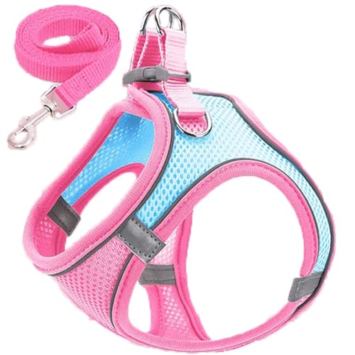 Reflektierendes, Atmungsaktives Hundegeschirr Für Den Außenbereich, Robustes Nylon-Hundegeschirr Und Leine-Set, Verstellbar, Bequem, Welpengeschirr, Outdoor-Reisetraining, Hundegeschirr,A,M von JFERDX