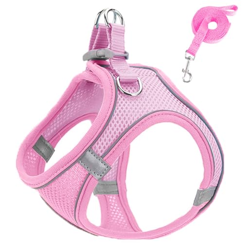 Reflektierendes, Atmungsaktives Hundegeschirr Für Den Außenbereich, Robustes Nylon-Hundegeschirr Und Leine-Set, Verstellbar, Bequem, Welpengeschirr, Outdoor-Reisetraining, Hundegeschirr,C,M von JFERDX