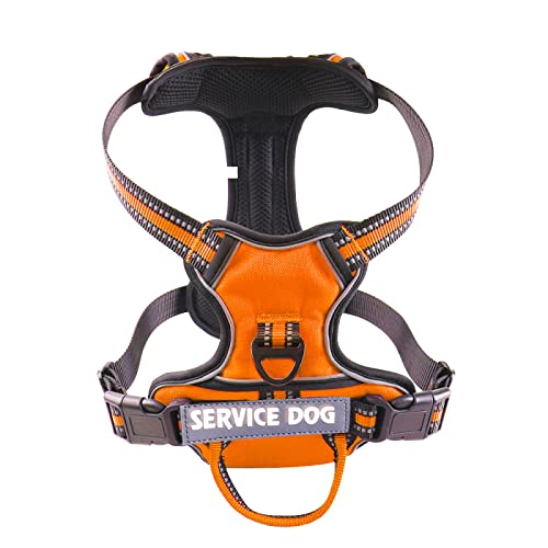 Verstellbares Hundegeschirr Aus Strapazierfähigem Nylon, Personalisiertes Reflektierendes Hundegeschirr, Weste, Atmungsaktives Haustiergeschirr Für Labrador-Schäferhund,Orange,S von JFERDX