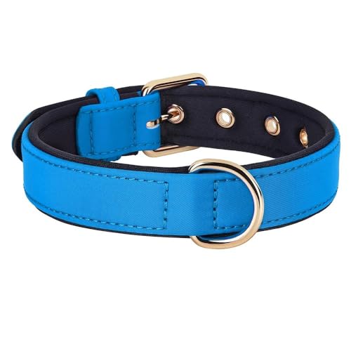 Wasserdichtes Hundehalsband für draußen, verstellbar, Nylon, weich, gepolstert, atmungsaktiv, Haustierhalsband, Chihuahua, Mops, Schnauzer, Blau, Größe L von JFERDX