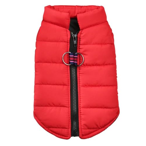 Wind- Und wasserdichte Hundejacke Im Freien, Einfarbig, Für Den Winter, Verdickter Warmer Hundemantel, Weste Für Mops, Chihuahua, Französische Bulldogge, Kleidung Mit Reißverschluss, Haustie von JFERDX