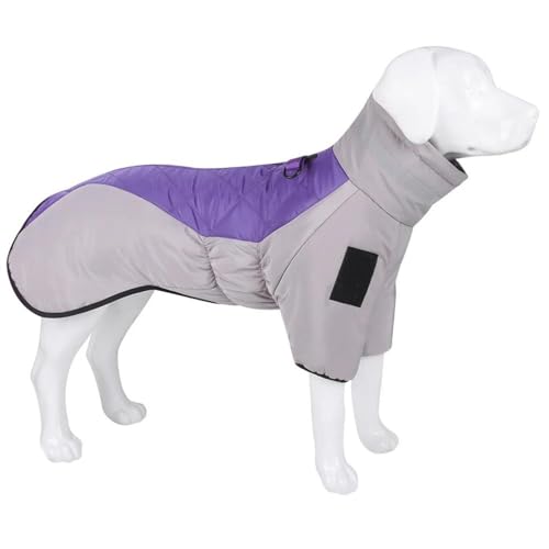 Winter Warme Große Hundemanteljacke Im Freien wasserdichte Haustiermanteljacke Labrador Golden Retriever Bulldogge Kleidung Haustier Arbeitskleidung Weste,Lila,2XL von JFERDX