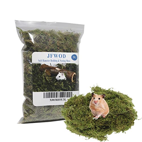 JFWOD 5L Waldmoos für Hamster Syrische Rennmäuse Einstreu Naturmoos Perfekt für Topfpflanzen, Terrarien, Reptilienbecken und Lebende Kreaturprojekte von JFWOD