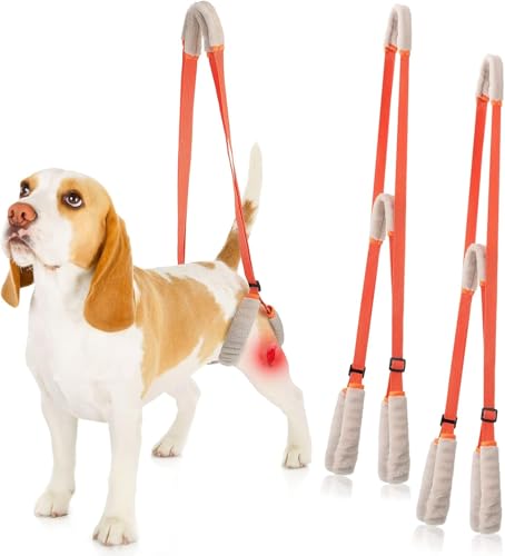 2 PCs Hund Schlinge für große Hunde Hinterbeinstütze mit Griff und Schultergurt verstellbares weiches Hundestützgurt für Hinterbeine Verletzungen ältere Menschen Haustier (Orange) von JHS-TECH