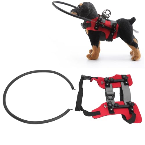 Halo-Geschirr für Blinde Hunde, verstellbar, Führungsgerät für Blinde Hunde, einfache Fixierung, Zubehör für Blinde Hunde, Halsband für Blinde Hunde (rot oder blau, S/M) (JHS-TECHwxK-11) von JHS-TECH