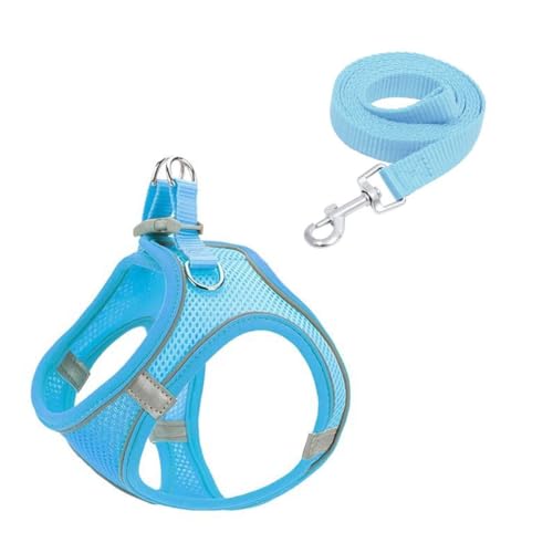 Reflektierendes Hundegeschirr und Leine Set, Atmungsaktives Mesh-Material, Verstellbar mit Sicherheitsschnalle, für Kleine Hunde und Katzen, 150cm Leine (Blue, L) von JHzood