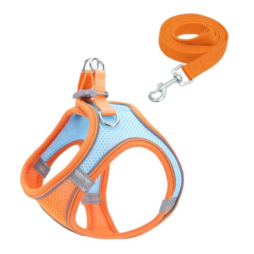 Reflektierendes Hundegeschirr und Leine Set, Atmungsaktives Mesh-Material, Verstellbar mit Sicherheitsschnalle, für Kleine Hunde und Katzen, 150cm Leine (Blue orange, L) von JHzood