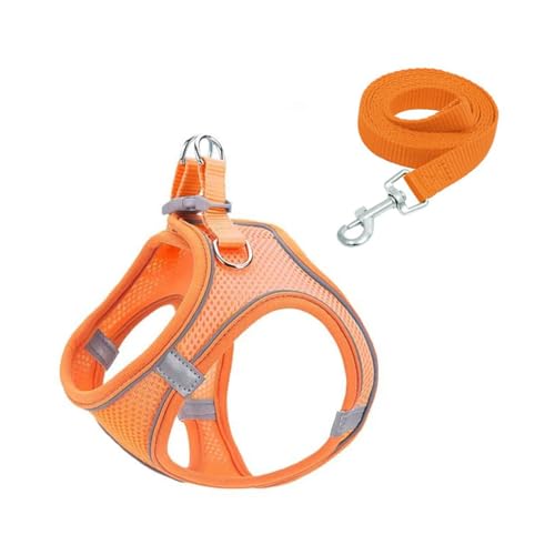 Reflektierendes Hundegeschirr und Leine Set, Atmungsaktives Mesh-Material, Verstellbar mit Sicherheitsschnalle, für Kleine Hunde und Katzen, 150cm Leine (orange, L) von JHzood