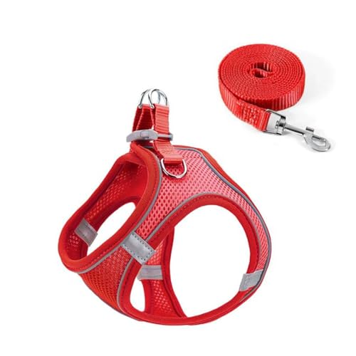 Reflektierendes Hundegeschirr und Leine Set, Atmungsaktives Mesh-Material, Verstellbar mit Sicherheitsschnalle, für Kleine Hunde und Katzen, 150cm Leine (red, L) von JHzood