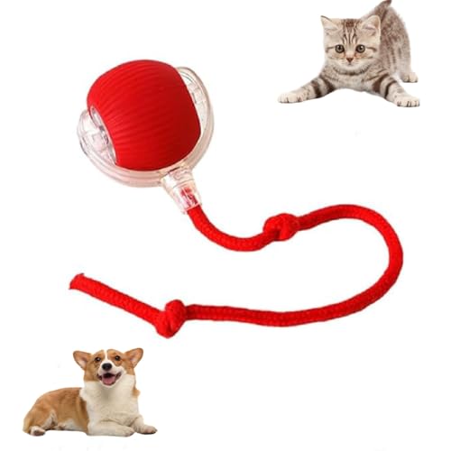 JIABAOZ Chewie Rolling Ball, Chewie Ball for Dogs, Interactive Cat Toys Rolling Ball,Hundespielzeug Ball mit Schnur, Automatisch Rollender Ball für Kleine,Mittlere Hunde (Red) von JIABAOZ