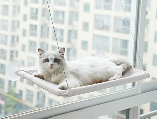 JIANJU Katzen-Hängematte, niedliches Katzenfensterbett, 20 kg, Katzenfenster, platzsparend, für große Katzen, 33 x 20 x 5 cm, Grau von JIANJU