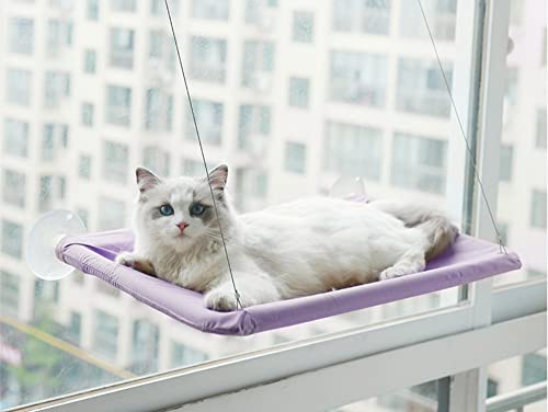 JIANJU Katzen-Hängematte, niedliches Katzenfensterbett, 20 kg, Katzenfenster, platzsparend, für große Katzen, 33 x 20 x 5 cm, Violett von JIANJU