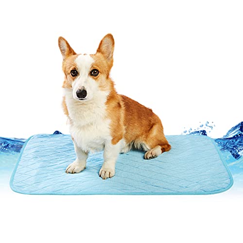 JIANNI Sommer-Haustier-Kühlmatte, Hunde-Pee-Pad, wiederverwendbar, waschbar, rutschfest, Welpen-Trainingspads, Matratzenkisten-Pad für Boden, Sofa, Autositz (Large,Blue) von JIANNI