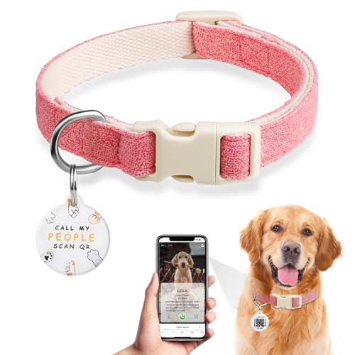 Personalisiert Hundehalsband, Hunde Halsbänder mit Namen - Hundemarke mit QR-Code Dog Tag mit Haustier Online Profil Personalisiert Individuelle Erkennungsmarke für Kleine Mittel Große Hunde(L, Rosa) von JIARUI