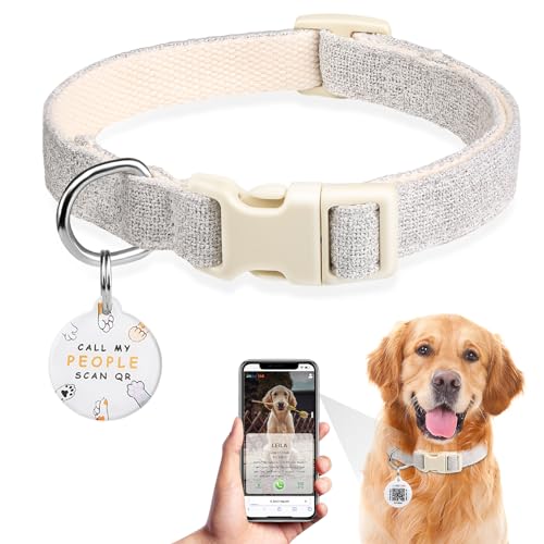 Personalisiert Hundehalsband, Hunde Halsbänder mit Namen - Hundemarke mit QR-Code Dog Tag mit Haustier Online Profil Personalisiert Individuelle Erkennungsmarke für Kleine Mittel Große Hunde(L, Grau) von JIARUI