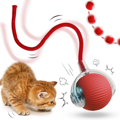 Interaktives Katzenspielzeug,Katzenspielzeug Elektrisch,Interaktives Katzenball Spielzeug,Interaktives Katzenspielzeug Katzenball,Automatisch Rollender Ball,Intelligentes Katzenspielzeug 360°(Rot) von JIASHA