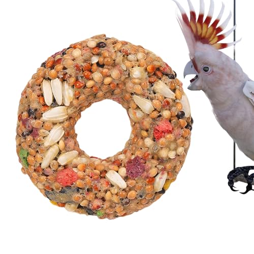 JIEBWCHA Leckerbissen Für Nymphensittiche - Vogelkäfig Spielzeug | Donut-förmiger Beißring Mit Körner Snacks Für Training, Beschäftigung Und Futtersuche Für Unzertrennliche JIEBWCHA Leckerbissen Für Nymphensittiche - Vogelkäfig Spielzeug | Donut-förmiger Beißring Mit Körner Snacks Für Training, Beschäftigung Und Futtersuche Für Unzertrennliche von JIEBWCHA